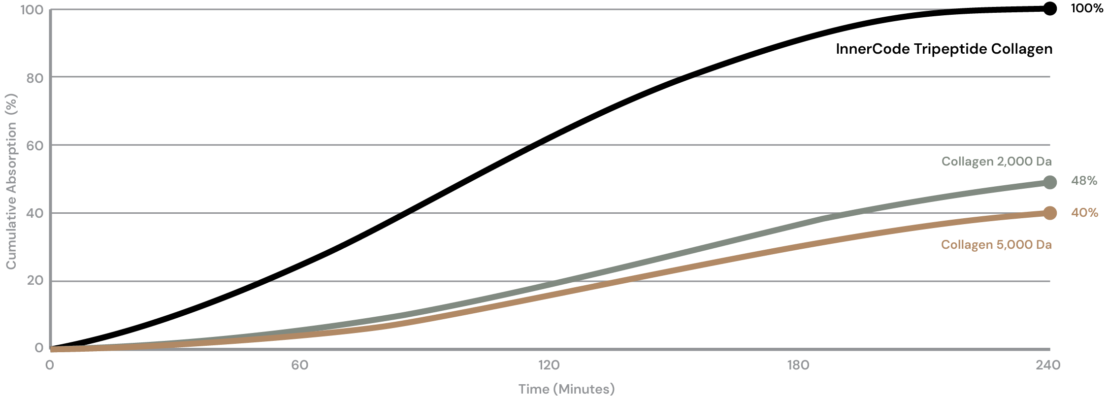 Bioavailability – Maximised Absorption chart